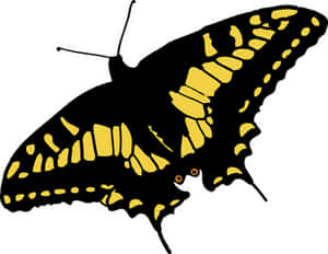 Yellow Black Butterfly Illustration PNG with transparent background