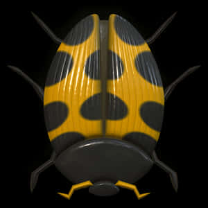 Yellow Black Ladybug Illustration PNG image with transparent background