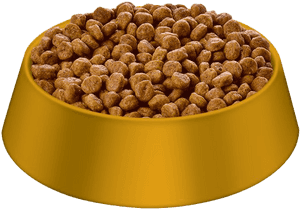 Dry Dog Food - Dog Food Transparent Background, HD Png Download PNG