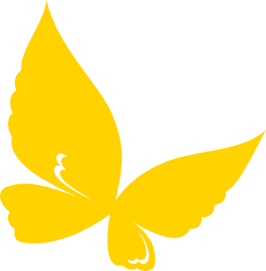 Yellow Butterfly Outline Cartoon Png , Png Download, Transparent Png PNG image with transparent background