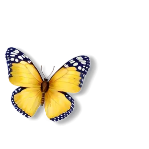 Yellow Butterfly Transparent Clipart Png 65 PNG Image