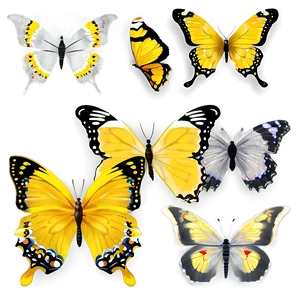 Yellow Butterfly Vector Png 06292024 PNG Image