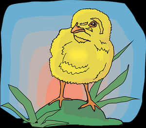Yellow Chick Illustration PNG image with transparent background