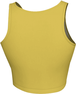 1 Yellow Crop Top Back - Crop Top, HD Png Download PNG image with transparent background