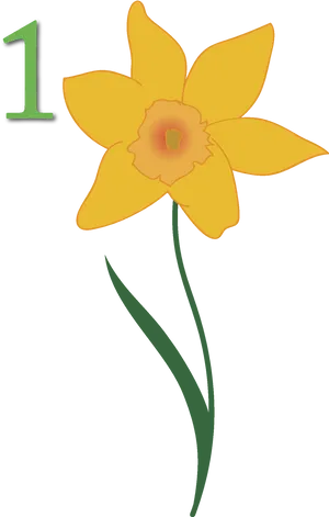 Yellow Daffodil Graphic PNG Image