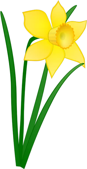 Yellow Daffodil Vector Illustration PNG Image