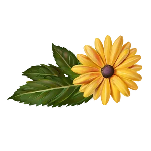 Yellow Daisy Flowers Png Bwy33 PNG Image