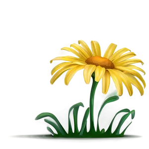 Yellow Daisy Png Hkr16 PNG Image