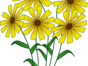 Yellow Flower Clipart Spring Flower - Flower Png Cartoon Clipart, Transparent Png PNG image with transparent background