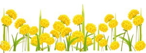 Dandelion Png - Transparent Background Yellow Flower Clipart, Png Download PNG