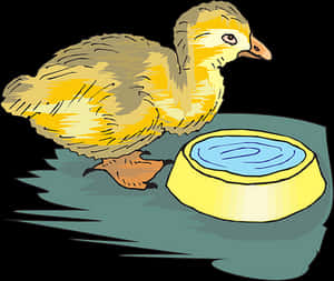 Yellow Duckling With Water Bowl PNG