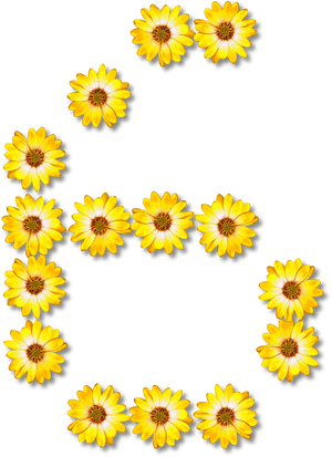 Floral Alphabet, - Huruf E Dari Bunga, HD Png Download PNG