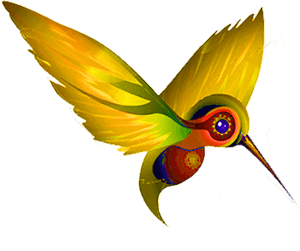 Yellow Humming Bird - Hummingbird, HD Png Download PNG image with transparent background