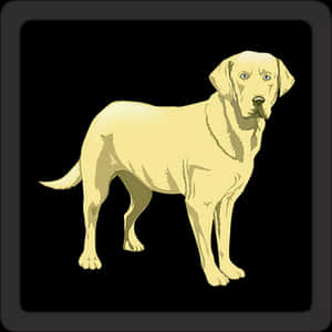 Yellow Labrador Retriever Illustration PNG image with transparent background