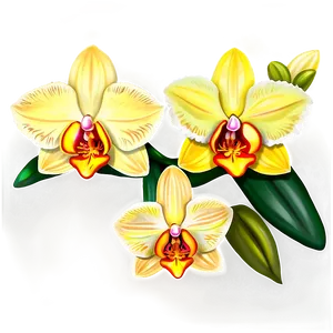 Yellow Orchids Png Xef PNG Image