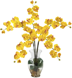 Yellow Orchidsin Glass Vase PNG Image