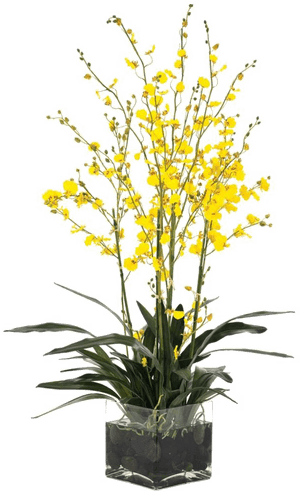 Flower Vase Png Transparent Picture - Transparent Transparent Background Flower Vase Png, Png Download PNG with transparent background