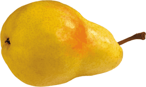 Transparent Pears Clipart - Pear Png No Background, Png Download PNG image with transparent background