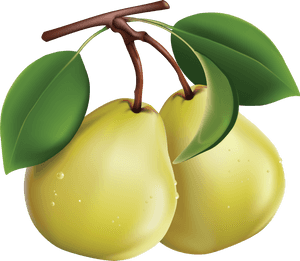 Pear,tree,fruit Plant,clip Pear,accessory Fruit - Pears Clipart Png, Transparent Png PNG with transparent background