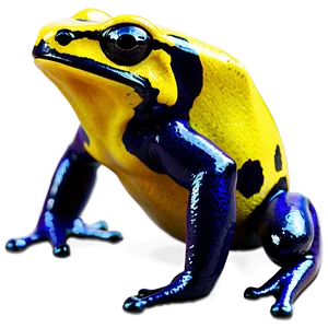 Yellow Poison Dart Frog Png Hog89 PNG Image