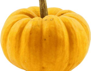 Squash Vegetable Png, Transparent Png PNG with transparent background