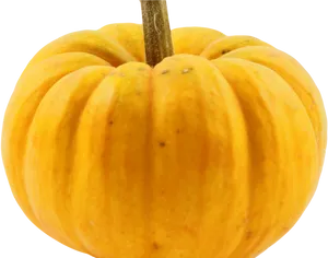 Yellow Pumpkin Squash Isolated PNG Image