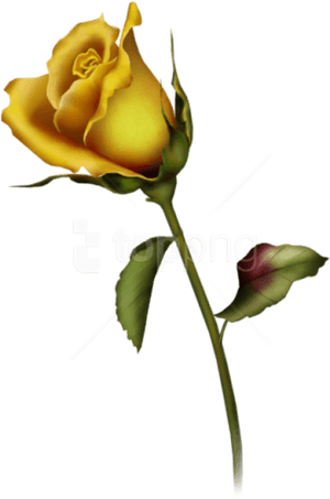 Transparent Rose Bud Png - Single Yellow Rose Tattoo, Png Download PNG image with transparent background