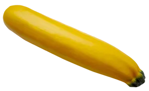 Yellow Squash Single Isolated PNG Image