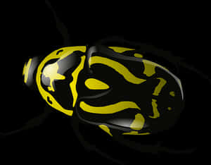 Yellow Striped Beetleon Black Background.jpg PNG image with transparent background