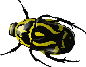 Yellow Striped Beetleon Black Background.jpg PNG Image