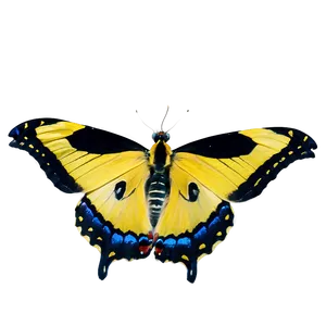 Yellow Tiger Butterfly Png Sdm PNG Image