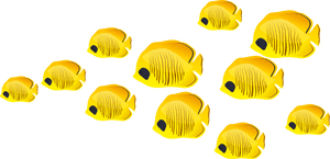 Fish Clip Art - No Background Fish Clipart, HD Png Download PNG image with transparent background