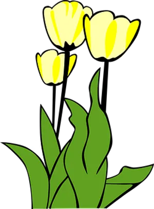 Yellow Tulips Vector Illustration PNG Image