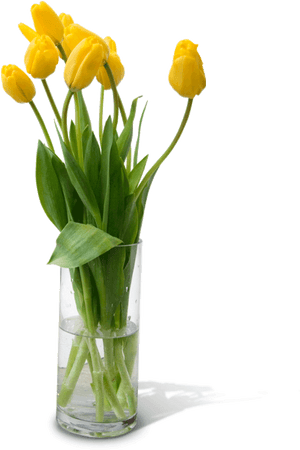 Flower Vase Png Free Download - Vase With Flowers Png, Transparent Png PNG with transparent background