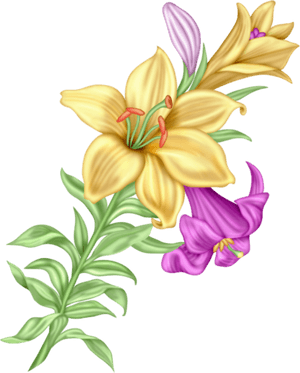 3d Flower Png, Transparent Png PNG with transparent background
