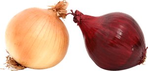 Yellow Onion Png, Transparent Png PNG image with transparent background