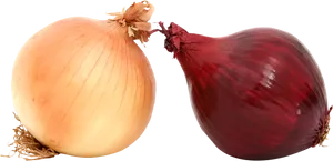 Yellowand Red Onions PNG Image