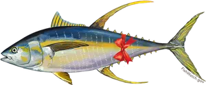 Yellowfin Tuna Illustrationwith Bow PNG Image