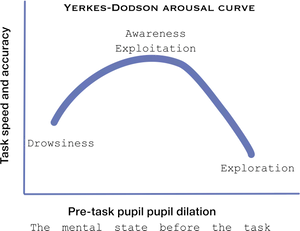 Yerkes Dodson Arousal Curve Graph PNG Image