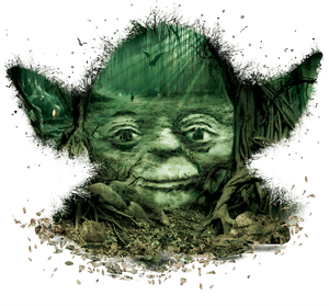 Star Wars Identities Poster , Png Download - Yoda Star Wars Poster, Transparent Png PNG image with transparent background
