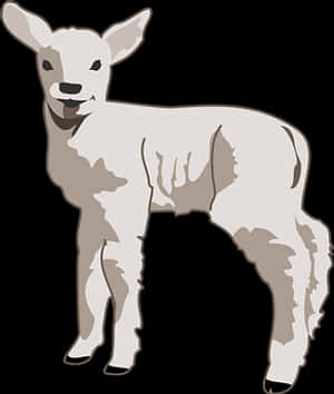 Young Lamb Illustration PNG