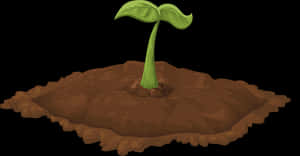 Young Plant Emerging From Soil PNG with transparent background