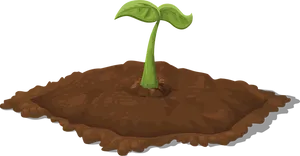 Young Plant Emerging From Soil PNG Image