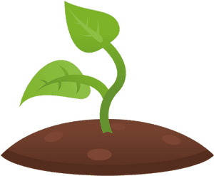 Shoot Of A Plant Clip Art, HD Png Download PNG with transparent background