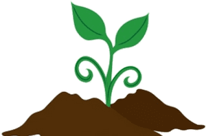 Soil Seeds Clipart Healthy For Free And Use Images - Plant In Soil Clipart, HD Png Download PNG with transparent background