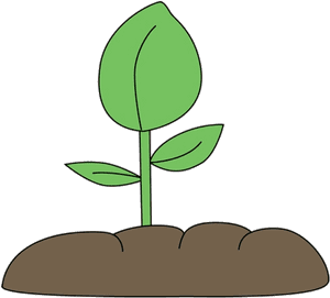 Soil Plant In Clip Art Clipart Free Transparent Png - Plant In Soil Clipart, Png Download PNG with transparent background