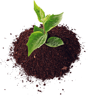 Soil Png Hd Image - Soil Png, Transparent Png PNG with transparent background
