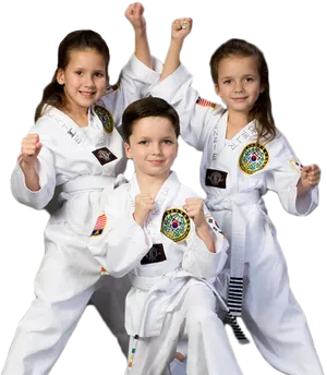 Young Taekwondo Students Posing PNG Image