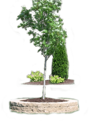 Landscape Png, Transparent Png PNG image with transparent background