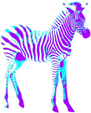 Zebra, Colorful, Art, Creative, Purple, Blue, Crosswalk - Zebra Invitacion De Cumpeaños, HD Png Download PNG image with transparent background
